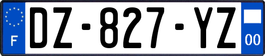 DZ-827-YZ