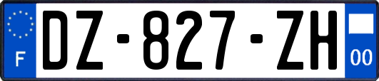 DZ-827-ZH