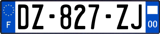 DZ-827-ZJ