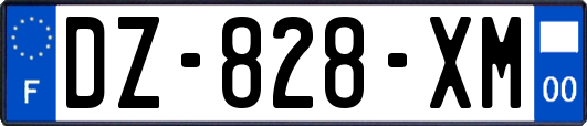 DZ-828-XM