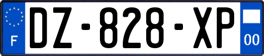 DZ-828-XP