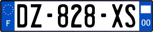 DZ-828-XS