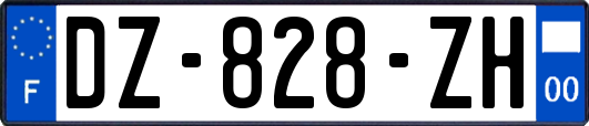 DZ-828-ZH