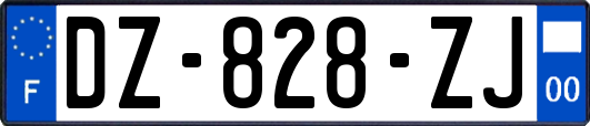 DZ-828-ZJ