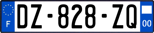 DZ-828-ZQ