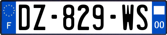 DZ-829-WS