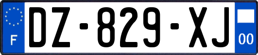 DZ-829-XJ