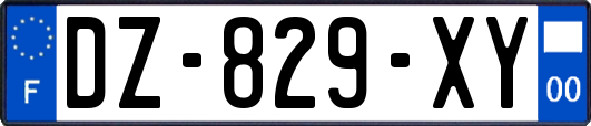 DZ-829-XY