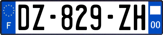 DZ-829-ZH