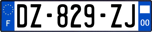 DZ-829-ZJ