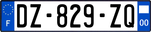 DZ-829-ZQ