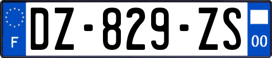 DZ-829-ZS