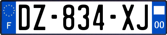 DZ-834-XJ