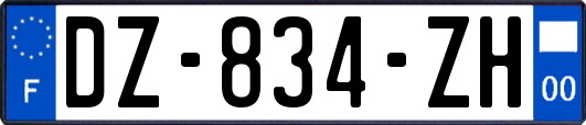 DZ-834-ZH