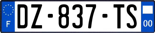 DZ-837-TS