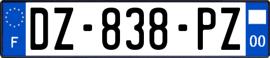 DZ-838-PZ