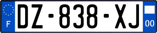 DZ-838-XJ