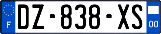 DZ-838-XS