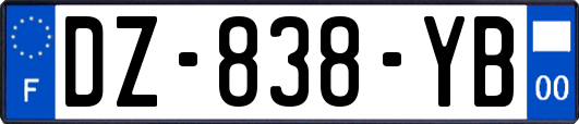 DZ-838-YB