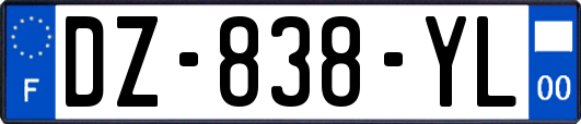 DZ-838-YL