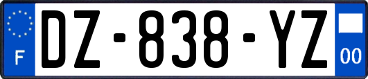 DZ-838-YZ