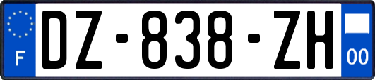 DZ-838-ZH