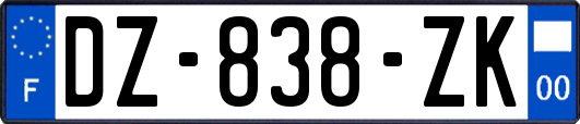 DZ-838-ZK