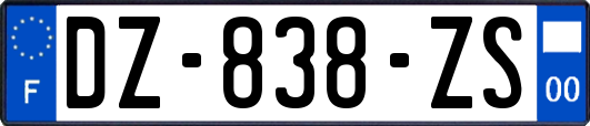 DZ-838-ZS