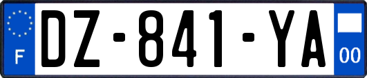 DZ-841-YA