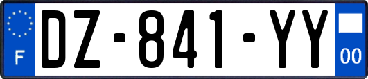 DZ-841-YY