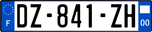 DZ-841-ZH