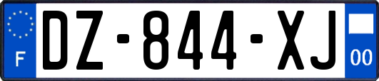 DZ-844-XJ