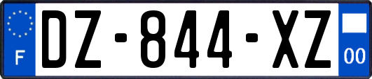 DZ-844-XZ