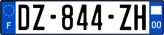 DZ-844-ZH