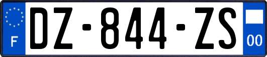 DZ-844-ZS