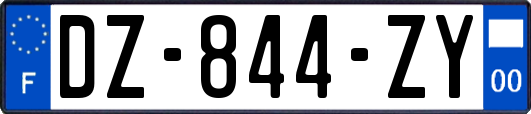 DZ-844-ZY