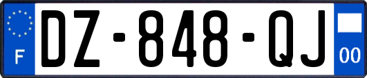 DZ-848-QJ