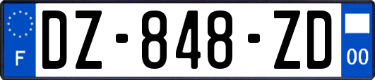 DZ-848-ZD