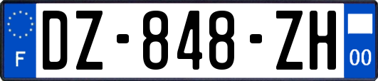 DZ-848-ZH