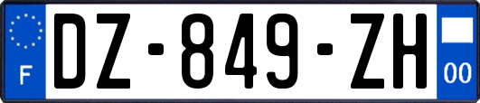 DZ-849-ZH