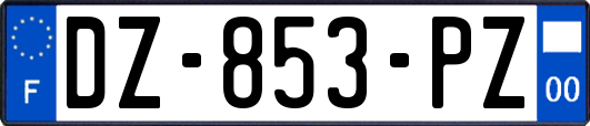 DZ-853-PZ