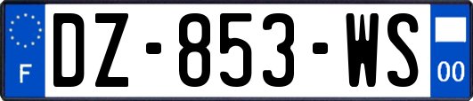 DZ-853-WS