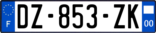 DZ-853-ZK