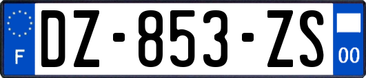 DZ-853-ZS