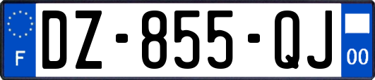 DZ-855-QJ