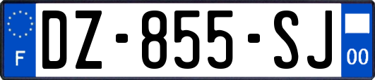 DZ-855-SJ