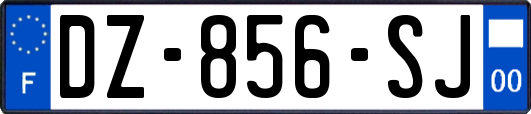 DZ-856-SJ