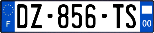 DZ-856-TS