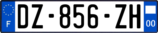 DZ-856-ZH