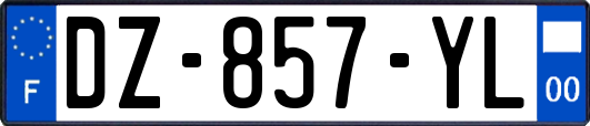 DZ-857-YL